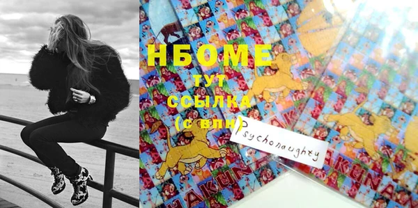 шишки Переславль-Залесский