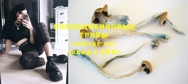 каннабис Осташков