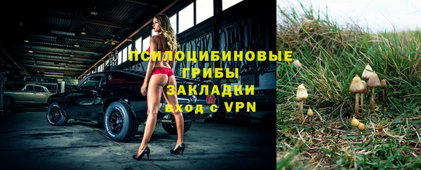 бутират Осинники