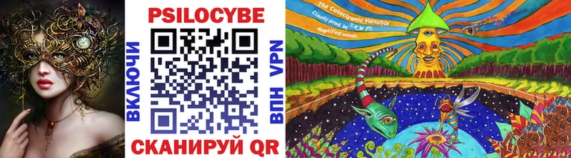 Купить закладки  Щёлково  Галлюциногенные грибы Psilocybe 