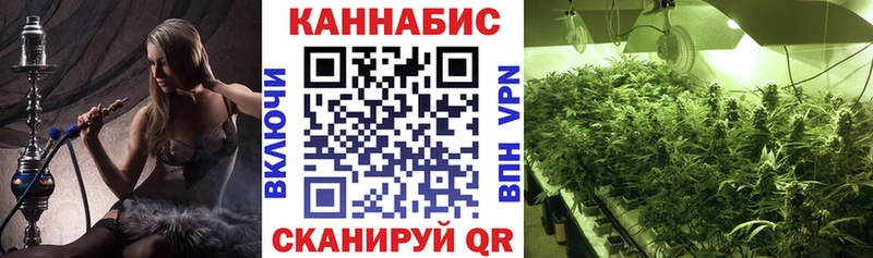 Бошки Шишки тримм Щёлково